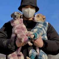 kpop_sub9