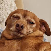 оригінальний звук