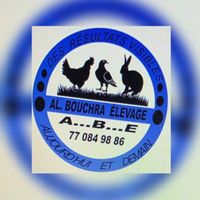albouchraelevage0