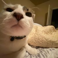 As The World Caves In x Leave The Door Open