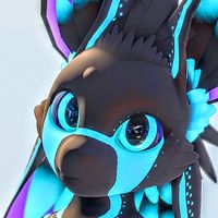 nova_avali