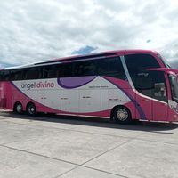 clevervasquez074