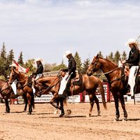 sundownspecshomestead