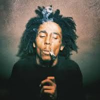 hardhippie
