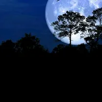 original sound - el_guason_lgmt