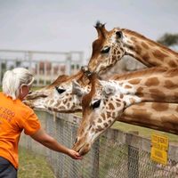 exploringthenaturalworld