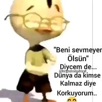 musafir.kiz