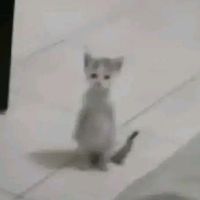 ....sofiquierellorar