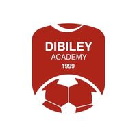 original sound - DIBILEY ACADEMY U14