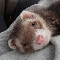 original sound - wttshp.mads