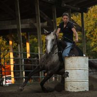 hs_performance_horses