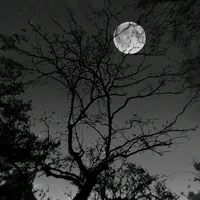 original sound - jon_12189