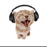 original sound - sorn11559900