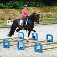 horse_edits019