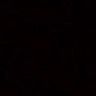 _viole.87