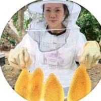 honey_fengmi68686868