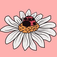 luckyladybugwishes