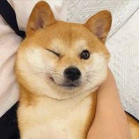 原聲 - Funny__🤪