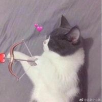 mwah_avery