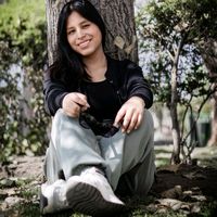 teffa_883