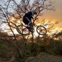 luca.rgnx