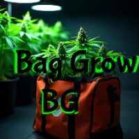 baggrowbg