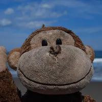 original sound - southernvinylrecords