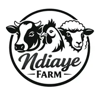 original sound - jeune2.0eleveur