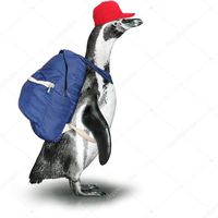 penguinluvr28