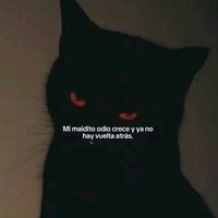 arianacc940