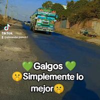 alexander.perez61