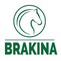 brakinatv