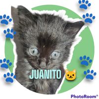 michelle_ramirezguarachi