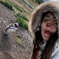 marcela.animals