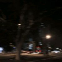 strey053