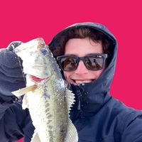 dryfly31