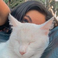 elisassj