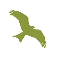 hawkconservancytrust