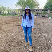 catalina_266
