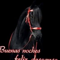 ismael.chavez...828