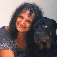 som original - Raul Nazário