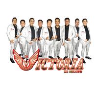 lavictoriademex_oficial