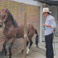 jonnyjmh