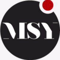 msy_invest