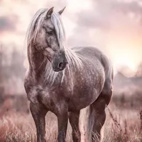 original sound - running.free07