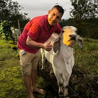 100porcientoenergiapura