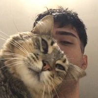facu_vesten