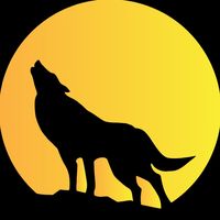 crime.seen.collective