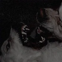 original sound - dogs.estetiks