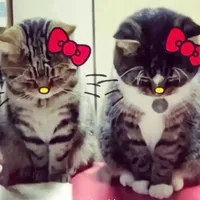 original sound - ilovcigsaftersex